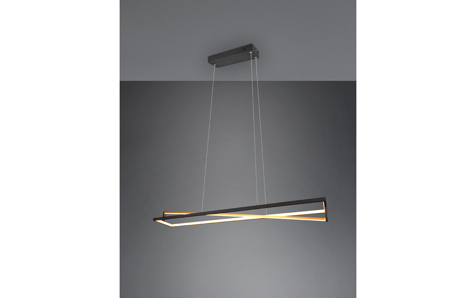 HLW LED Zwarte 35W Dimbare LED Hanglamp Trion Ediyon met Aanpasbare Kleur