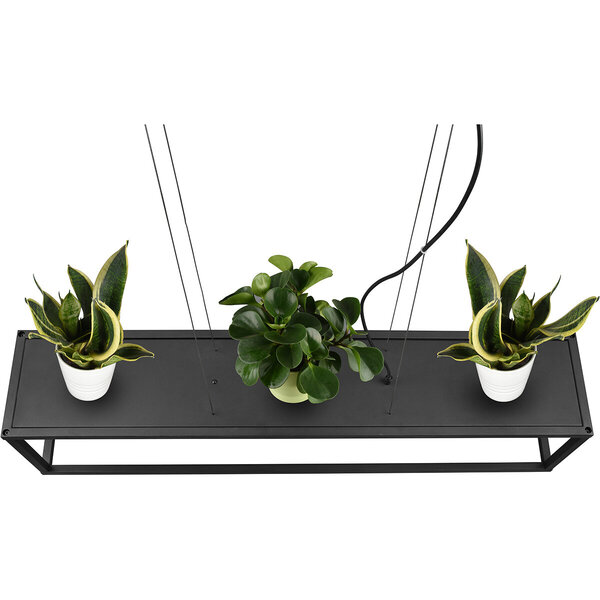 HLW LED Zwarte LED Hanglamp Trion Kandin - 4-lichts, Mat Zwart Aluminium, E27 Fitting