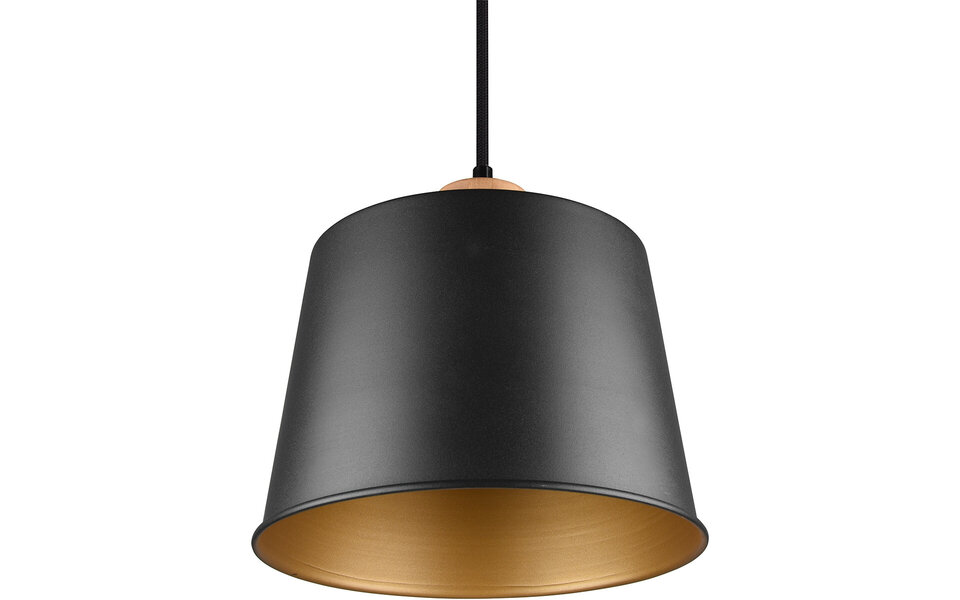 HLW LED Zwarte LED Hanglamp Trion Hittal - Stijlvolle LED Lamp met E27 Fitting