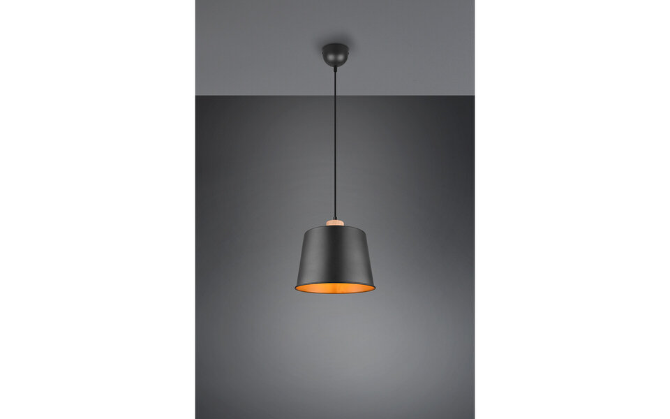 HLW LED Zwarte LED Hanglamp Trion Hittal - Stijlvolle LED Lamp met E27 Fitting