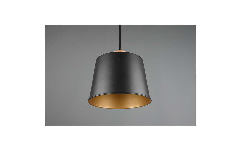 HLW LED Zwarte LED Hanglamp Trion Hittal - Stijlvolle LED Lamp met E27 Fitting