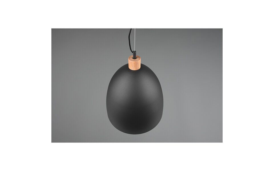 HLW LED Stijlvolle LED Hanglamp Trion Jaguar - Mat Zwart, 60W LED, E27 Fitting HLW LED Stijlvolle LED Hanglamp Trion Jaguar - Mat Zwart, 60W LED, E27 Fitting