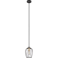 Zwarte Metalen LED Hanglamp - Stijlvolle LED Lamp met E27 Fitting