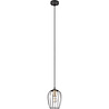 HLW LED Zwarte Metalen LED Hanglamp - Stijlvolle LED Lamp met E27 Fitting