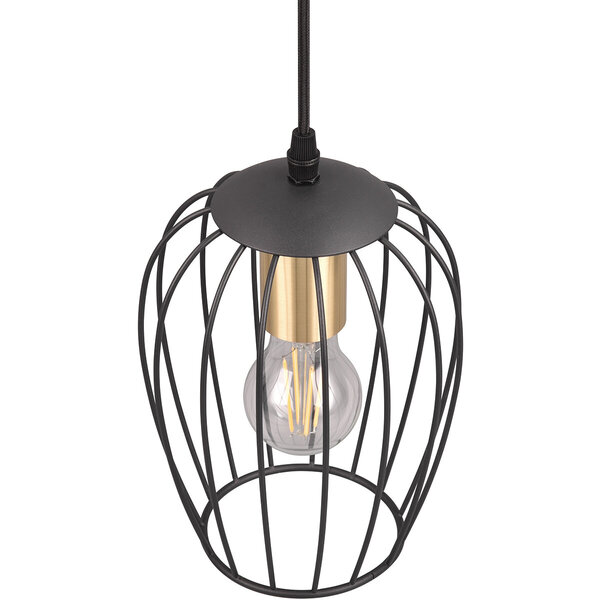 HLW LED Zwarte Metalen LED Hanglamp - Stijlvolle LED Lamp met E27 Fitting