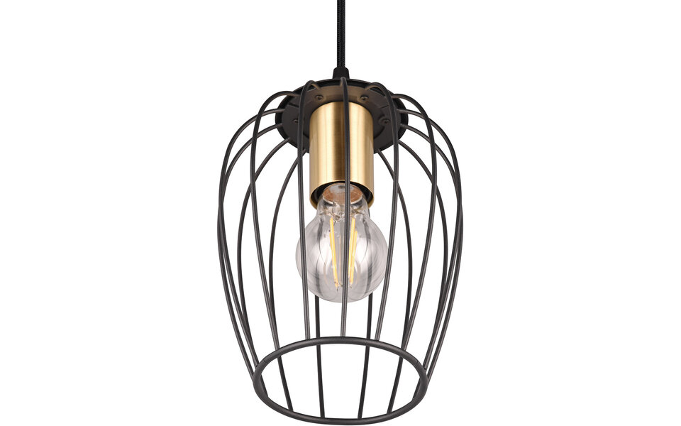 HLW LED Zwarte Metalen LED Hanglamp - Stijlvolle LED Lamp met E27 Fitting