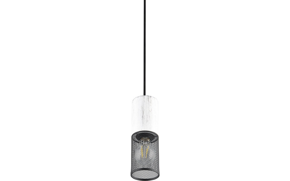 HLW LED Trion Josh Metalen LED Hanglamp - Zwart Wit, E27 Fitting, 1-Lichts LED Lamp