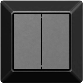 EcoDim draadloze 2-voudige Zigbee schakelaar – Philips Hue EcoDim draadloze 2-voudige Zigbee schakelaar – Philips Hue