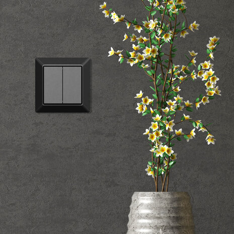 EcoDim EcoDim draadloze 2-voudige Zigbee schakelaar – Philips Hue