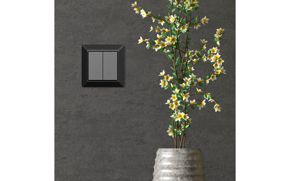 EcoDim EcoDim draadloze 2-voudige Zigbee schakelaar – Philips Hue