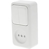 Q-LINK Q-LINK Polarwit wandcontactdoos 2x schakelaar+stopcontact Q-LINK Q-LINK Polarwit wandcontactdoos 2x schakelaar+stopcontact