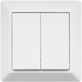 EcoDim 2-voudige Zigbee smart schakelaar (Philips Hue) EcoDim 2-voudige Zigbee smart schakelaar (Philips Hue)