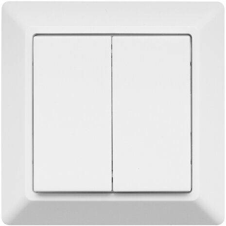 EcoDim EcoDim 2-voudige Zigbee smart schakelaar (Philips Hue)