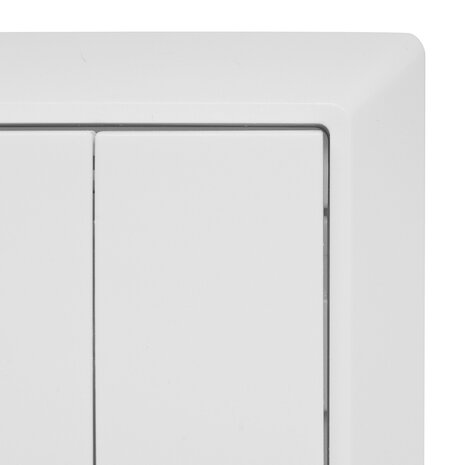 EcoDim EcoDim 2-voudige Zigbee smart schakelaar (Philips Hue)