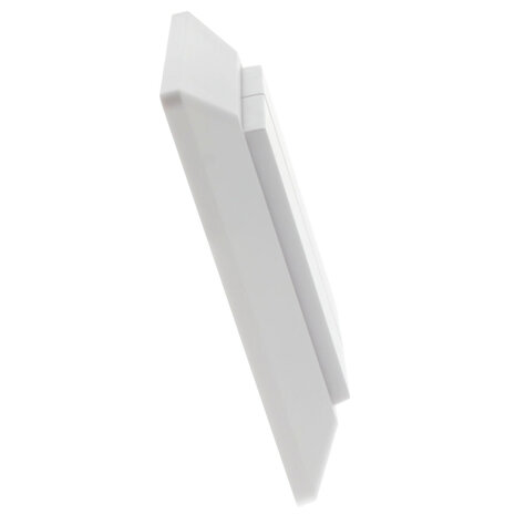 EcoDim EcoDim 2-voudige Zigbee smart schakelaar (Philips Hue)