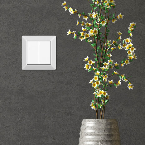 EcoDim EcoDim 2-voudige Zigbee smart schakelaar (Philips Hue)