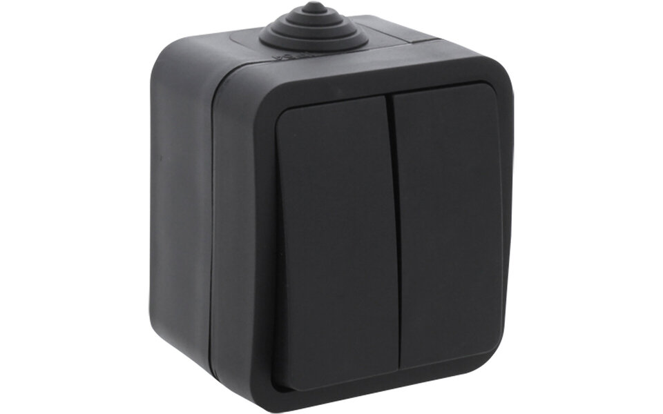 Q-LINK Q-LINK Dubbele Serieschakelaar 2-knoppen Mat Zwart IP54