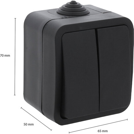 Q-LINK Q-LINK Dubbele Serieschakelaar 2-knoppen Mat Zwart IP54 Q-LINK Q-LINK Dubbele Serieschakelaar 2-knoppen Mat Zwart IP54