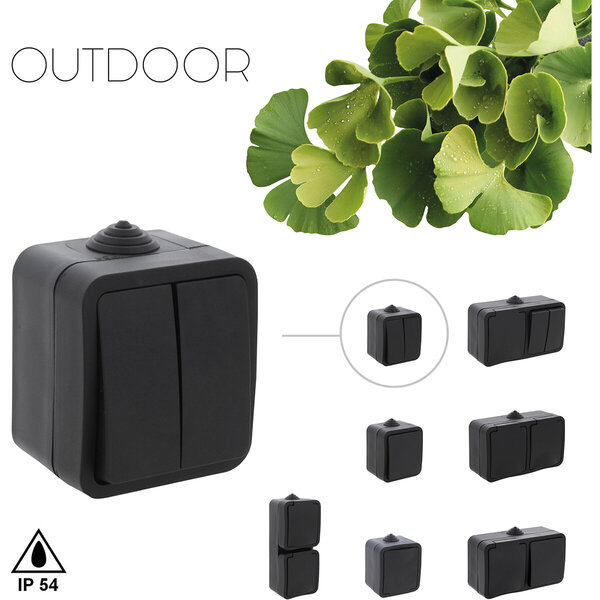 Q-LINK Q-LINK Dubbele Serieschakelaar 2-knoppen Mat Zwart IP54 Q-LINK Q-LINK Dubbele Serieschakelaar 2-knoppen Mat Zwart IP54