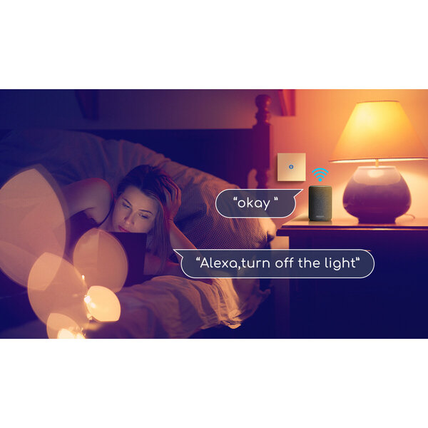 HLW LED Smart WiFi touchschakelaar 1-knops - LED, Alexa & Google