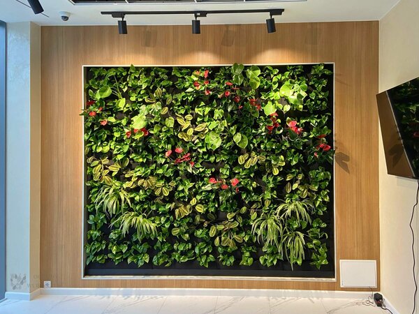 Wall of Green Verlichting