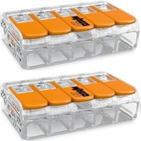 WAGO Lasklem Set 2 Stuks 5-polig - Ideaal voor LED toebehoren