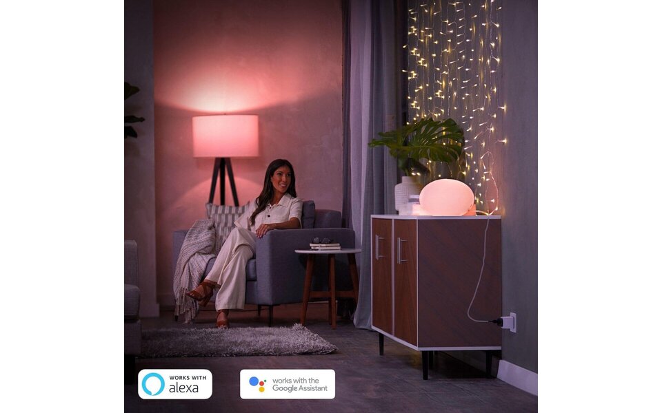 PHILIPS HUE PHILIPS HUE Smart Plug - Slimme Stekker & LED Toebehoren met Bluetooth