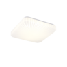 Kleur Kleur