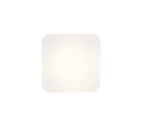 Trio Lighting Trio MANDRIA II LED ceiling light | 1x 16W 1600 lm 4000K | white | Ø 27 cm | IP20 | 5.5 cm