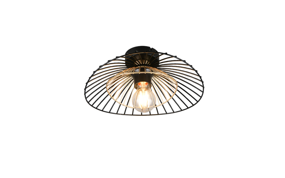 Trio Lighting Trio LAURIS ceiling light | 1x E27 max 40W | black | Ø 30 cm | IP20 | 11.5 cm