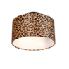 Kleur