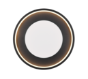 Trio Lighting Trio SOLEA ceiling light | 37W | black | Ø 40 cm | IP20 | 7.5 cm
