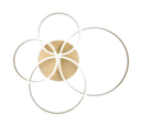 Trio Lighting Trio DRAKE ceiling light | 60W | IP20 | 17 cm