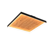 Trio KALEA ceiling light | LED | Ø 45 cm | IP20