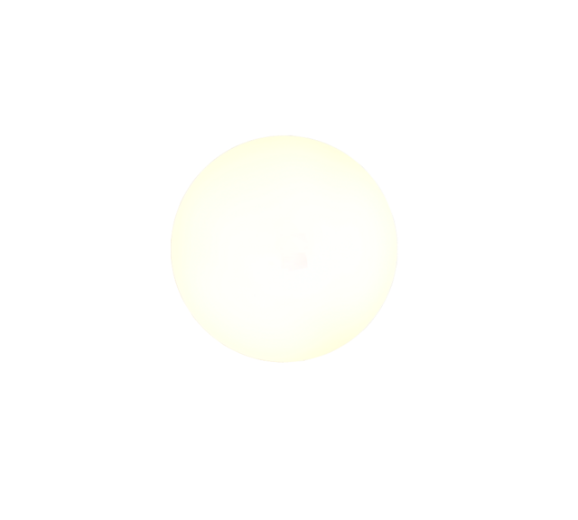 Wit