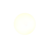Wit