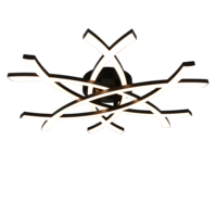 Trio POLLOCK plafondlamp | LED | mat zwart | 62 x 59 cm | IP20