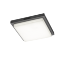 Trio Lighting Trio BERMEJO LED ceiling light | 1x 14W 1400 lm 4000K | Ø 30 cm | 5 cm