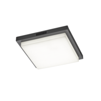 Trio BERMEJO plafondlamp | LED | antraciet | 30 x 30 cm | IP54