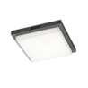 Kleur
