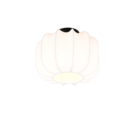Trio Lighting Trio MADLEINE plafondlamp | E27 Fitting | mat zwart met wit | Ø 25 cm | IP20 | excl. 1x E27 | max. 10W