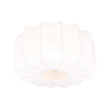 Kleur