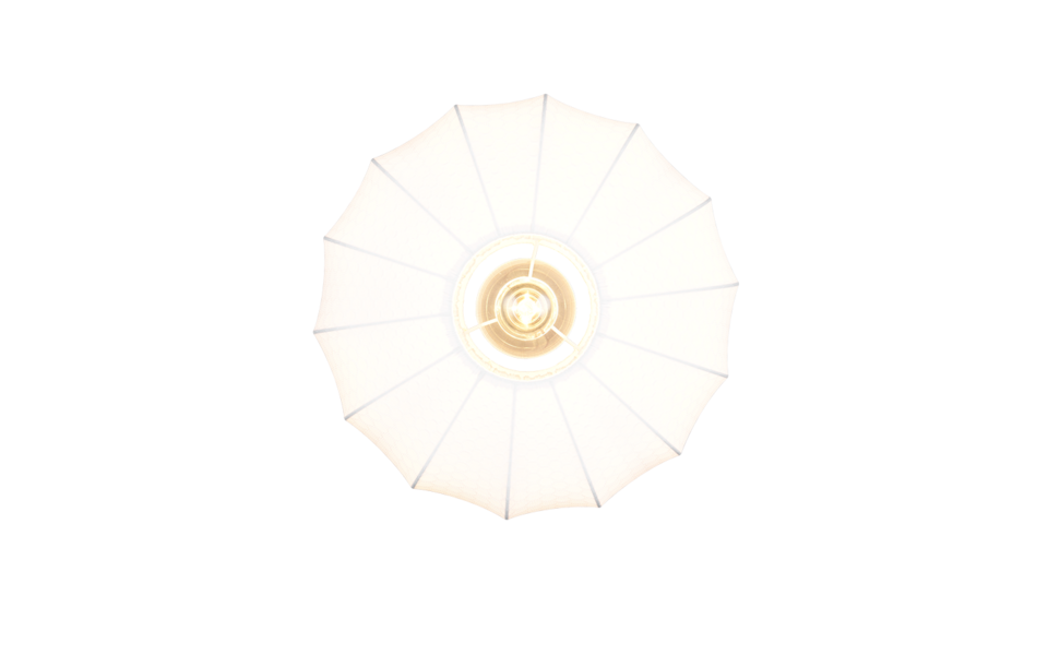 Trio Lighting Trio MADLEINE plafondlamp | E27 Fitting | mat zwart met wit | Ø 40 cm | IP20 | excl. 1x E27 | max. 10W
