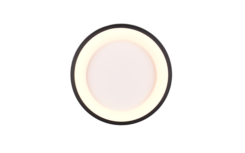 Trio Lighting Trio CARDONA LED ceiling light | 1x 30W 3600 lm 4000K | black | Ø 45 cm | IP20 | 10.5 cm Trio Lighting Trio CARDONA LED ceiling light | 1x 30W 3600 lm 4000K | black | Ø 45 cm | IP20 | 10.5 cm