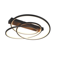 Trio DARVIN plafondlamp | LED | mat zwart | 64 x 49 cm | IP20
