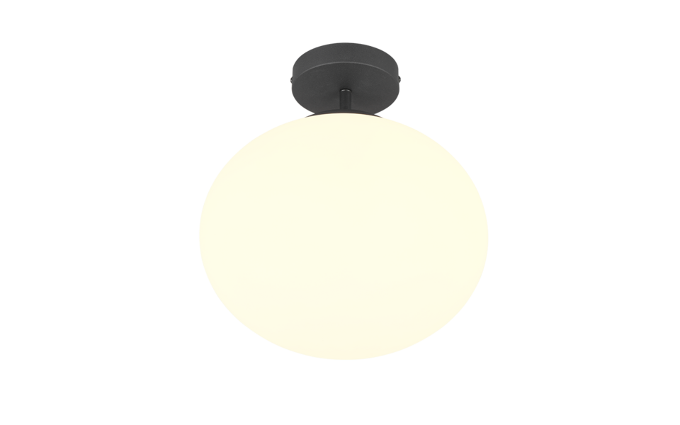 Trio Lighting Trio FOMENTO plafondlamp | E27 Fitting | mat zwart met wit | Ø 30 cm | IP20 | excl. 1x E27 | max. 15W