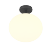 Kleur Kleur