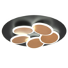 Zwart-goud
