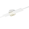 Kleur