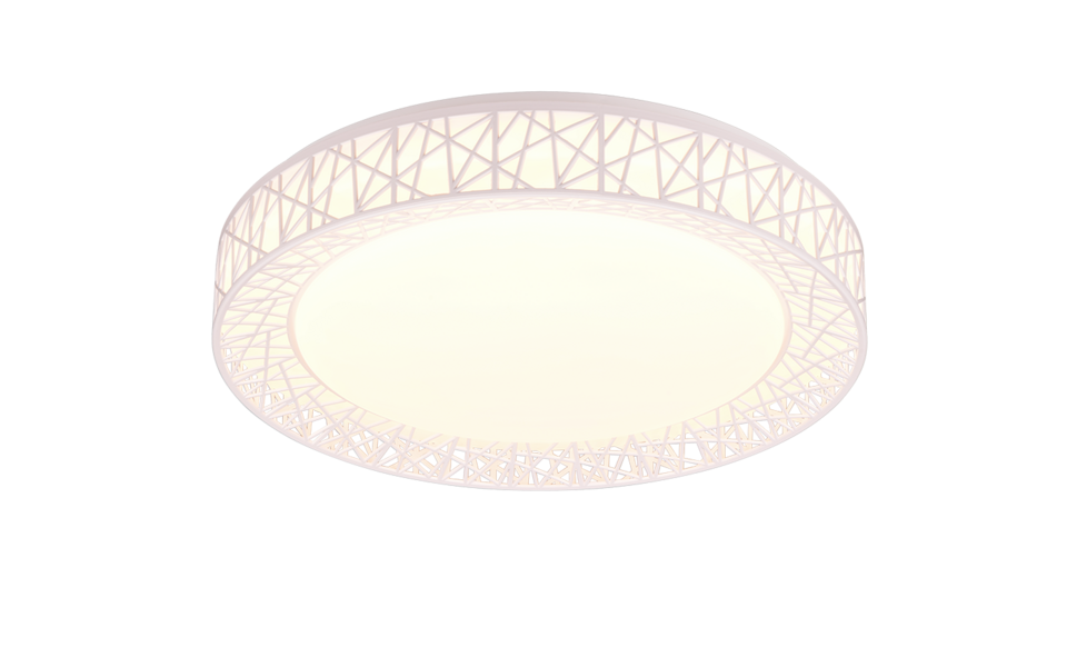Trio Lighting Trio CLUSTER LED ceiling light | 1x 40W 4300 lm 2700-6500K | white | Ø 48 cm | IP20 | 9 cm